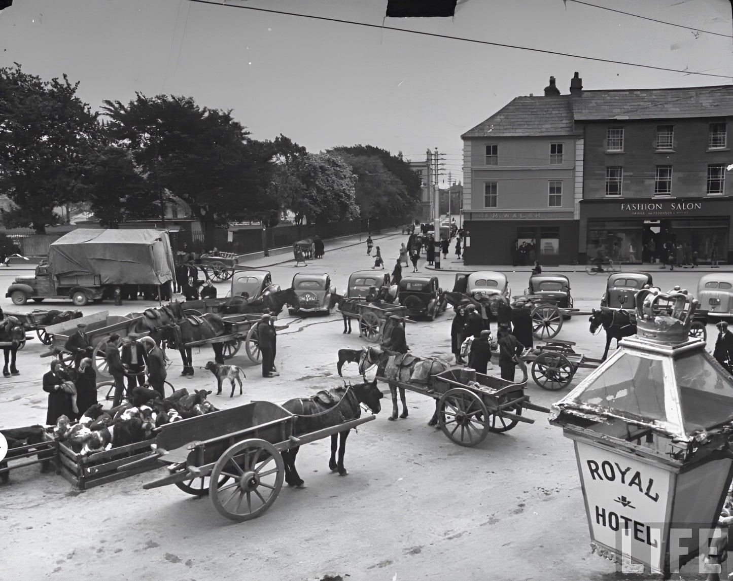 Galway 2025 Calendar