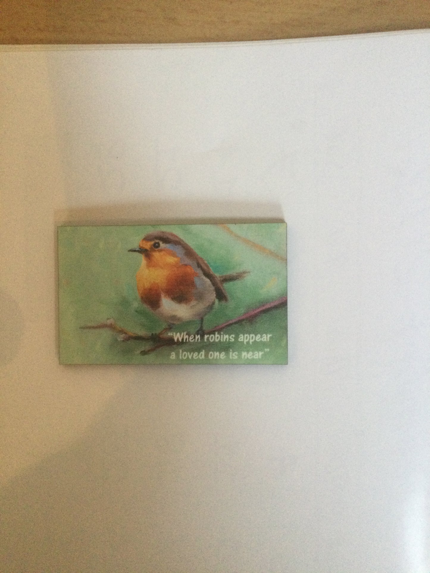 Robin Memorial Magnet