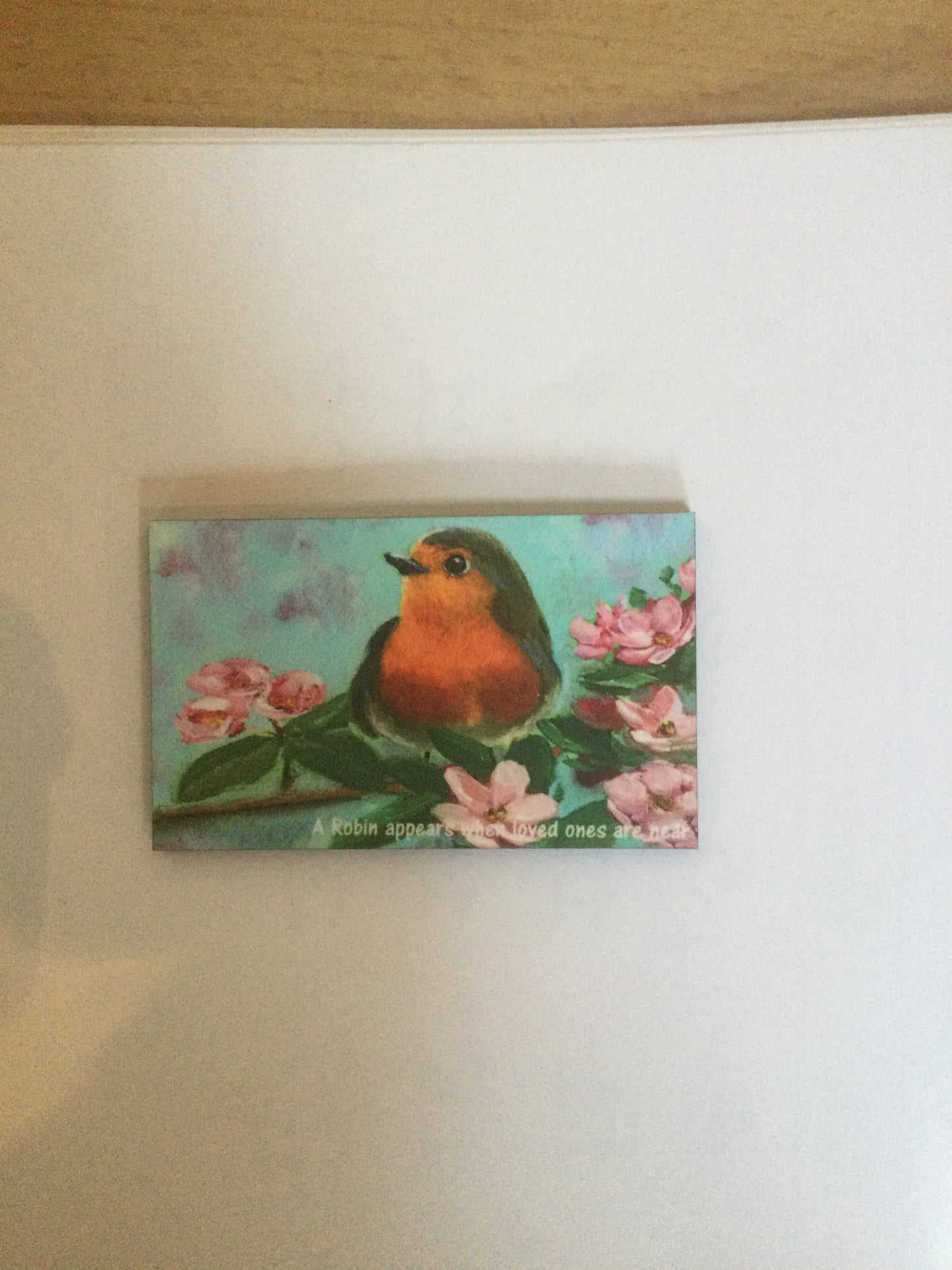 Robin Memorial Magnet