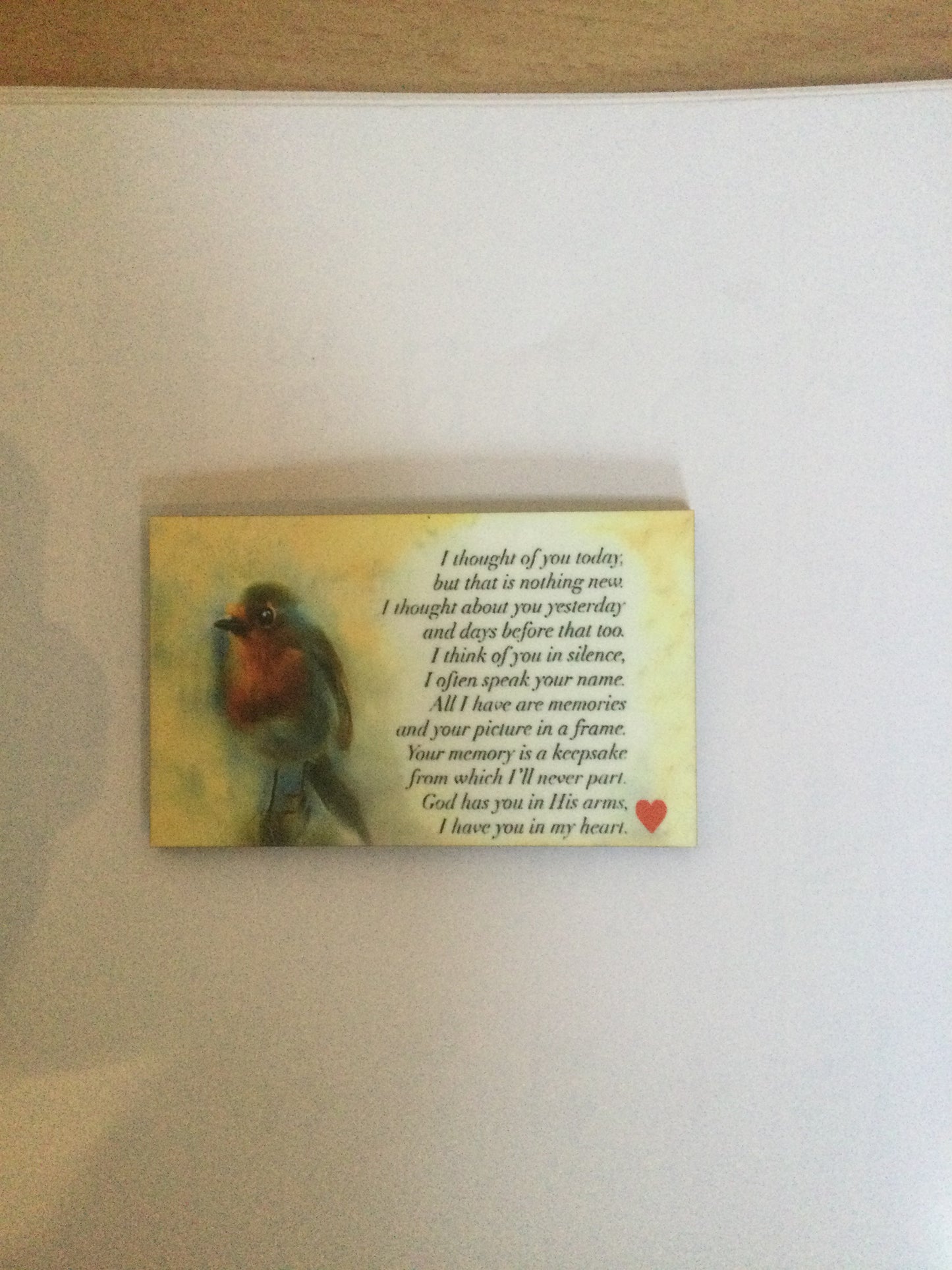 Robin Memorial Magnet