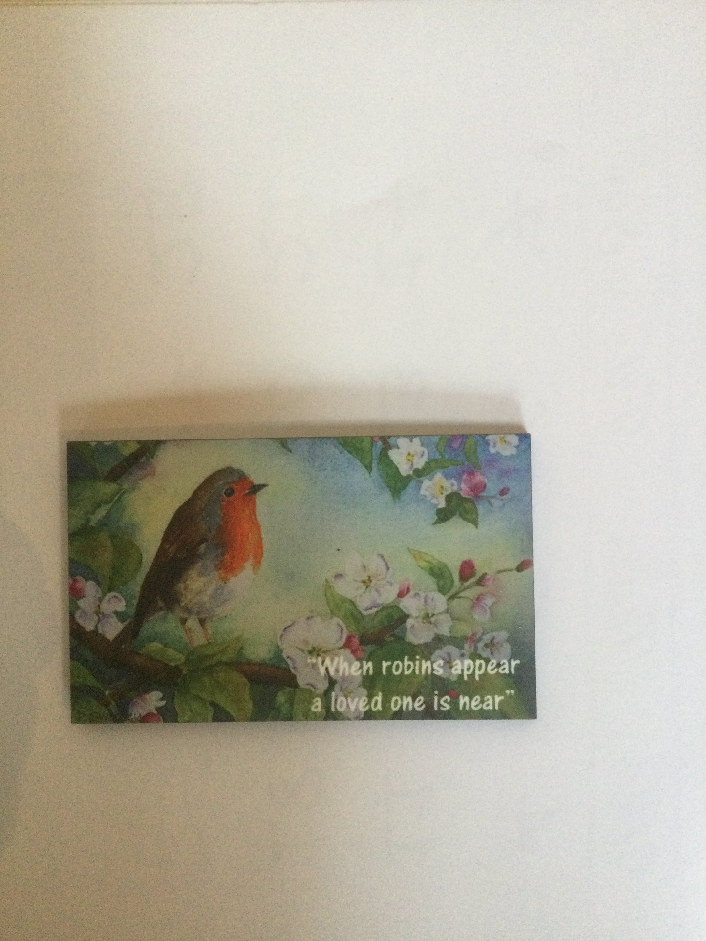 Robin Memorial Magnet